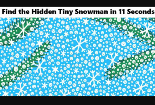 Picture Puzzles: Spot a tiny snowman hidden in the snowflakes