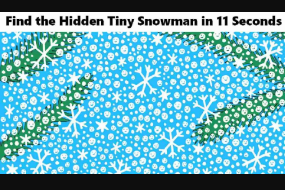 Picture Puzzles