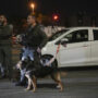 Israel arrests dozens after deadly synagogue shooting