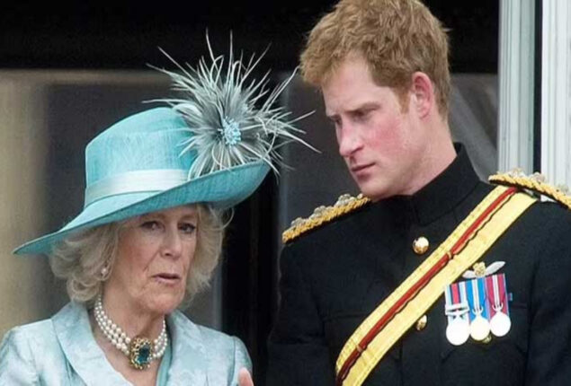 Prince Harry criticizes Camilla, saying that “she leaked stories”