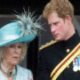 Prince Harry criticizes Camilla, saying that “she leaked stories”
