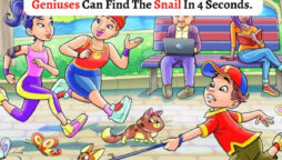 Brain Teaser: Find A Snail In The Park In 4 Seconds!