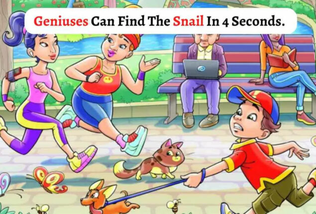 Brain Teaser: Find A Snail In The Park In 4 Seconds!