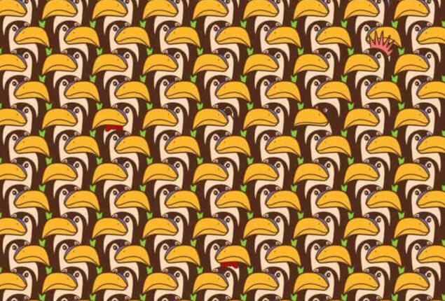 Optical Illusion: Find a penguin among the pelicans in 7 seconds