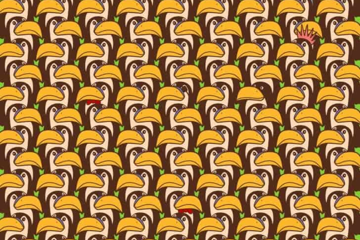Optical Illusion