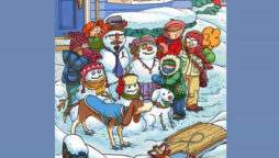 Seek and Find: Spot a cat, two cookies, two carrots, and two toasts, in ten seconds