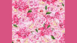 Optical Illusion: Spot a butterfly in the flowers 