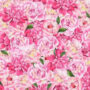Optical Illusion: Spot a butterfly in the flowers 