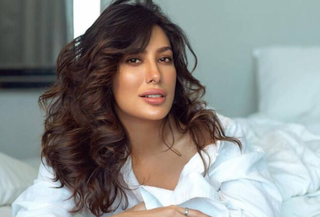 Mehwish Hayat Adil Raja