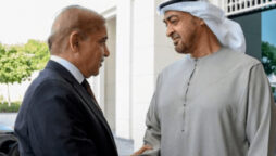 UAE president's trip