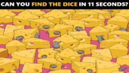 Picture Puzzle: Find the hidden dice among the cheese and mice