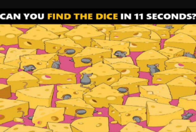 Picture Puzzle: Find the hidden dice among the cheese and mice