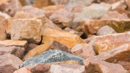 Optical Illusion: Find a seashell among the pebbles in 5 seconds