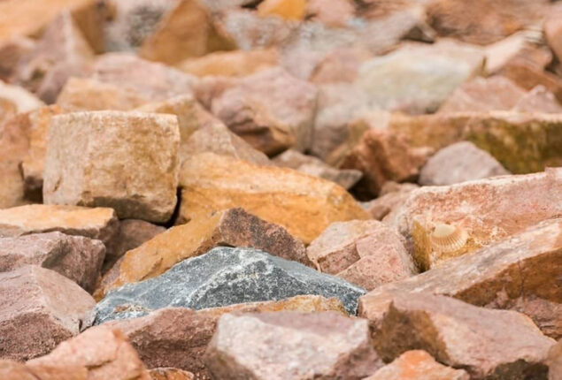 Optical Illusion: Find a seashell among the pebbles in 5 seconds