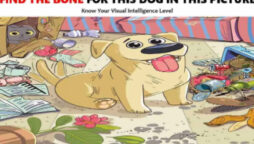 Picture Puzzle