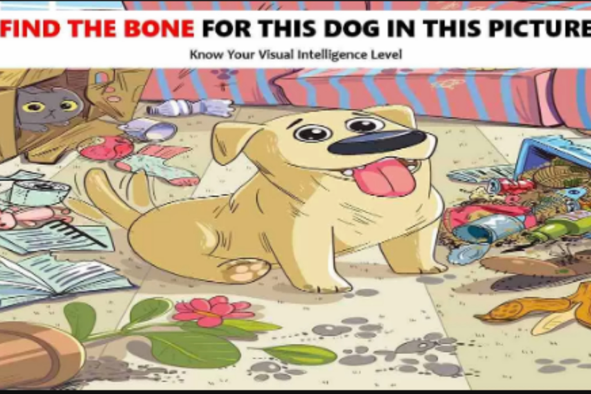 Picture Puzzle