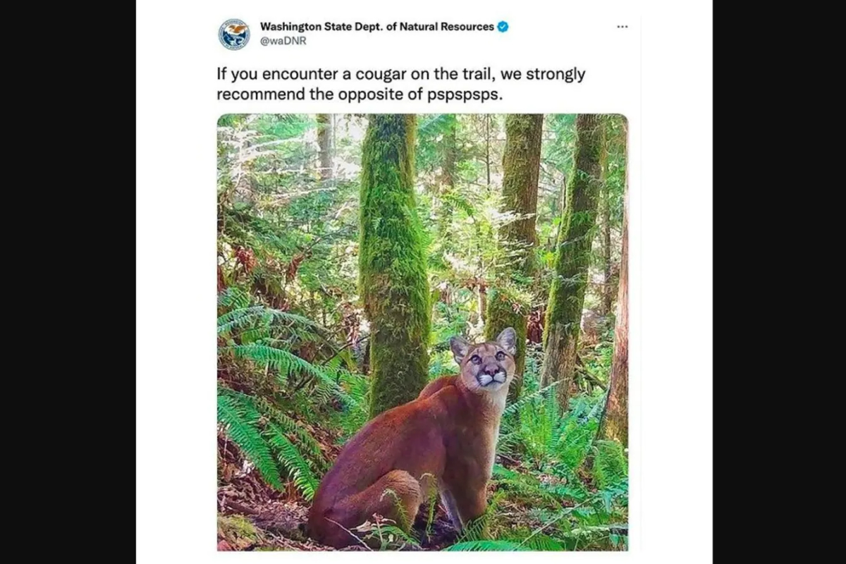 You are not a Disney princess