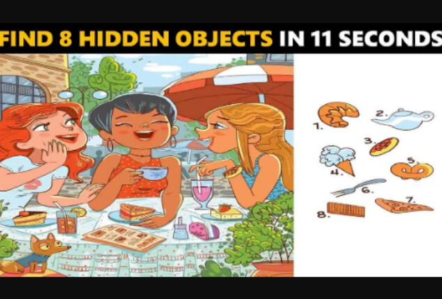 Brain-Testing Picture Puzzle! 11-second hidden objects game