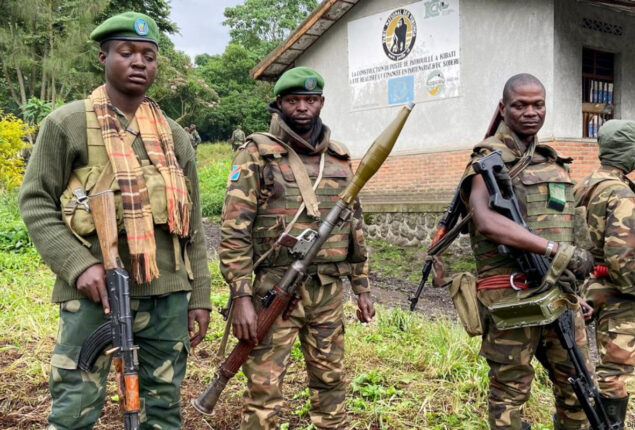 EU asks Rwanda to stop helping M23 rebels in DRC Congo