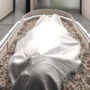 New York allows composting of human bodies