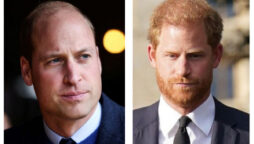 Prince William feels “abandoned” by his brother Prince Harry