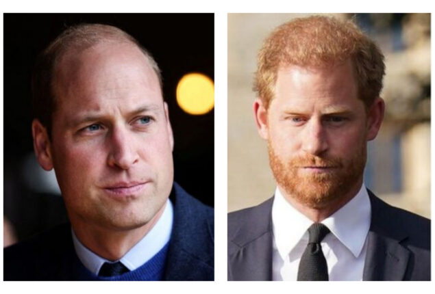 Prince Harry to ‘name and shame’ William in new book?