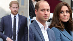 Prince Harry attacks William and Kate: Waleses sent warnings on ‘Spare’