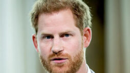Prince Harry plotting nasty plan against his own brother Prince William