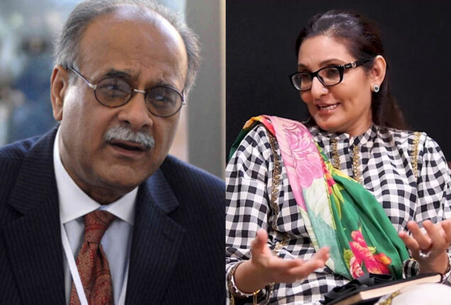 PSL 8: Najam Sethi appointed Naila Bhatti as PSL commissioner