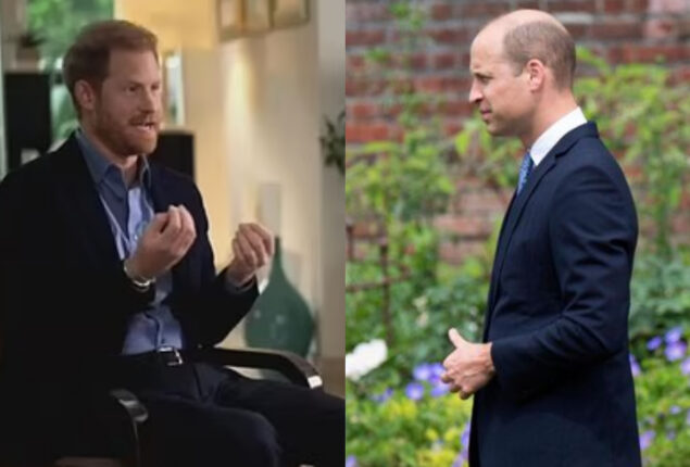 Prince Harry calls Prince William his “arch-nemesis” in Spare