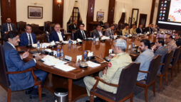 Sindh apex committee decides to crush terrorists, street criminals  