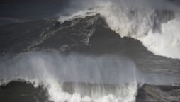 Marcio Freire died while riding giant waves in Nazaré, Portugal