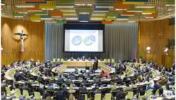 The Panel for the Asia region