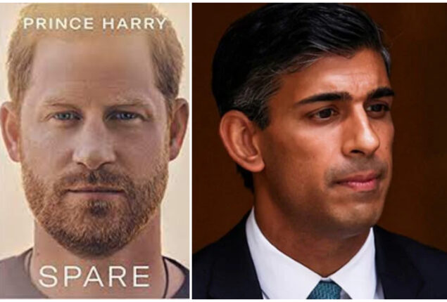 British PM Rishi Sunak responds to Prince Harry’s book ‘Spare’