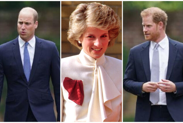 Prince Harry says mother Diana would be saddened by his broken relationship with William