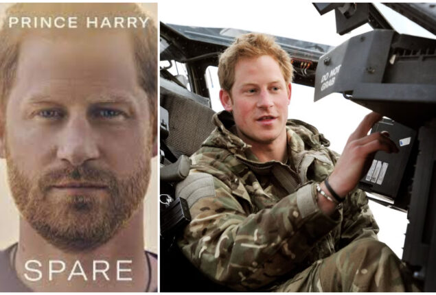 Prince Harry's Taliban statements
