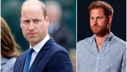 Harry’s jealousy and William’s brutal response put an end to all arguments