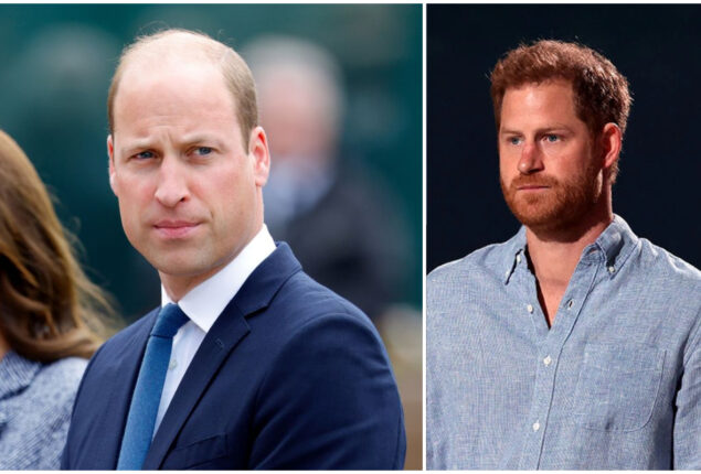 Harry’s jealousy and William’s brutal response put an end to all arguments