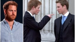 Relationship expert criticizes Harry for ‘pointing the finger’