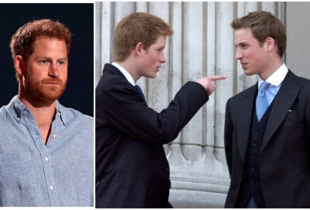 Relationship expert criticizes Harry for ‘pointing the finger’
