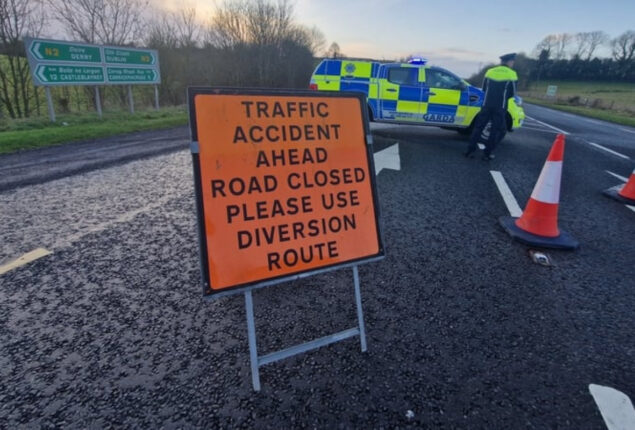 Man dies after crash involving stray horse in County Monagha
