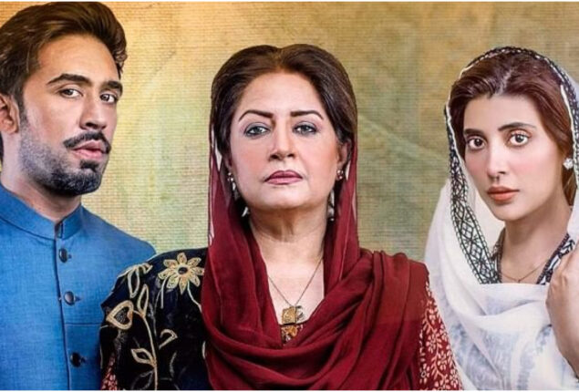 Review of drama Meri Shehzadi Episode 16: Dania makes yet another concession