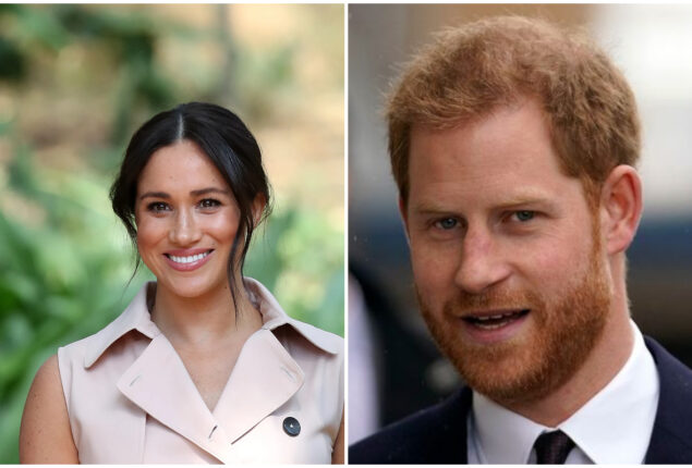 Harry and Meghan may ‘retreat from spotlight for rest of year’