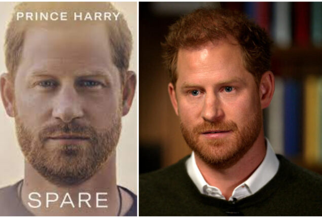 Prince Harry asked for the Royal title in interview, He responded with question