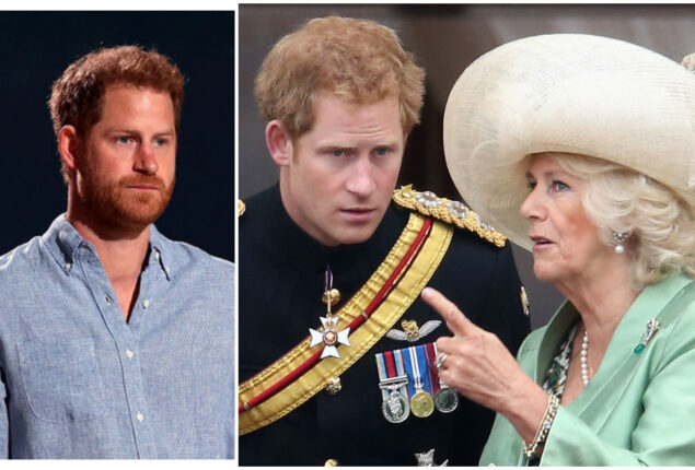 Prince Harry ‘doesn’t see Camilla as an evil stepmother’