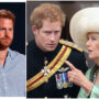 Prince Harry ‘doesn’t see Camilla as an evil stepmother’