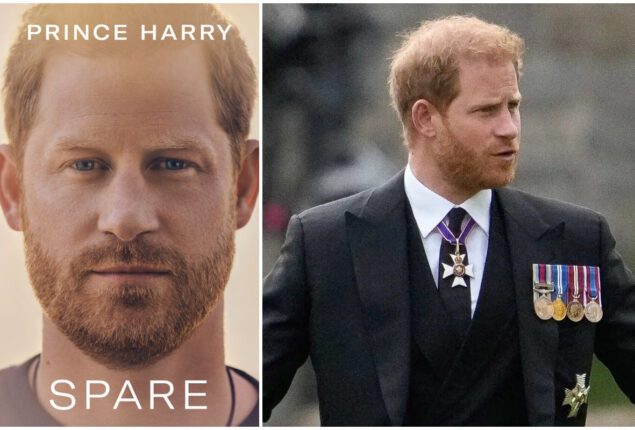 Prince Harry old friends to write book in support of William