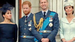 Prince Harry accuses William and Kate of ‘stereotyping’ Meghan Markle
