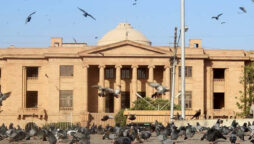 SHC issues stay order against hiring of doctors in NICH