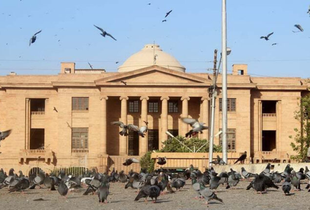 SHC issues stay order against hiring of doctors in NICH